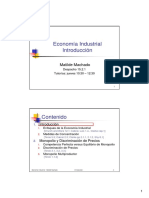 Economia Industrial