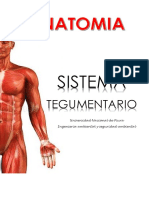 Sistema Tegumentario