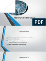 Neurocisticercosis