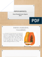 Papaya 2019