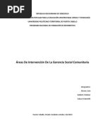 Áreas de Intervención de La Gerencia Social Comunitaria