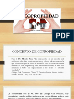 La Copropiedad