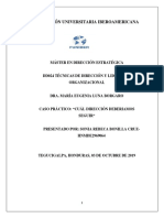 Caso Práctico Técnicas de Dirección y Liderazgo Organizacional