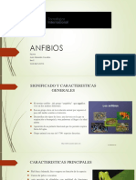 ANFIBIOS