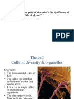 Cellular Diversity (Lec, 4)