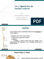 Huesos y Ligamentos MMII PDF