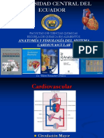 Sistema Cardiovascular