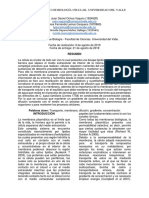 Informe Final de Transporte A Través de La Membrana