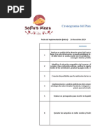 Cronograma Del Plan de Acción