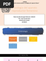 Fisiologia Del Aparato Reproductor Femenino