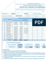 Càlculo Del Subsidio Por Maternidad EssSalud