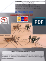 Diapositiva Dengue, Chiku, Zika