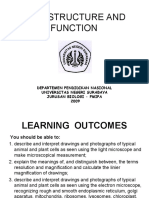 3cell Structure Function