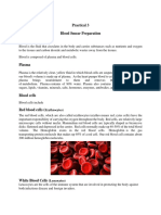 Blood Smear Preparation