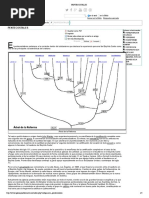 Origen de Las Denominaciones