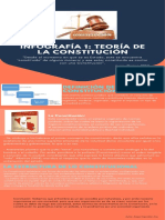 Infografia Sobre Teoria de La Constitucion