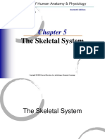 Chapter 5 The Skeletal System