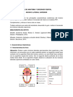 Guia Anatomia y Encerado Dental Incisivo Lateral Sup