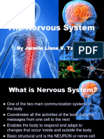 The Nervous System: by Janelle Liane V. Tabaldo