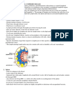 Secondary or Peripheral Lymphoid Organs