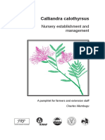 Calliandra Calothyrsus: Nursery Establishment and Management