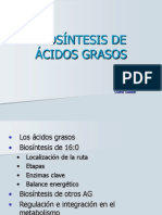 Acidos Grasos