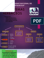 Ecosistemas Herbaceos