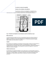 Soldadura Oxiacetilénica y Oxicorte