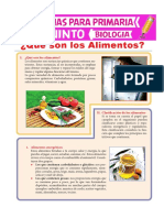 Tipos de Alimentos para 5 Grado