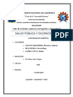 SALUD PUBLICA (Contaminación Ambiental)