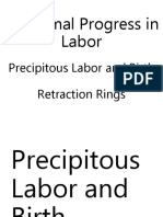 Eming Report Precipitous Labor