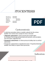 Cystocentesis K4