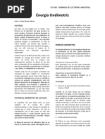 InformeUndimotriz PDF