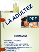 Diapositiva Adultez