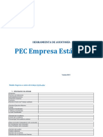 Herramienta de Auditoria PEC ESTÁNDAR - v5 para Expertos