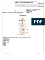 Taller Sistema Endocrino 8