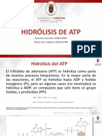 Hidrolisis de Atp