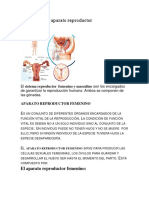 Funciones Del Aparato Reproductor