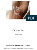 Catalase Test