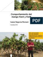 Biblioteca - 224 - Comportamiento Del Mango Kent y Keitt - L