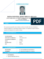 CV Buenaventura Minaya