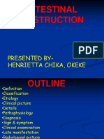 Intestinal Obstruction Chika