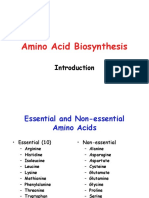 AA Biosynthesis