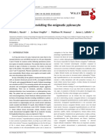 Neonatal Anemia: Revisiting The Enigmatic Pyknocyte