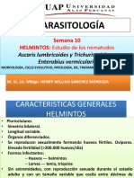 10 Semana Parasitologia