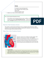 Function of The Circulatory System