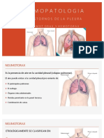 Infecciones de La Respiración