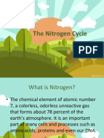 Nitrogen Cycle