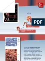 Saladin Anatomia 6a Diapositivas c20 VASOS Y CIRCULACION