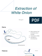 DNA Extraction of White Onion: Group 5